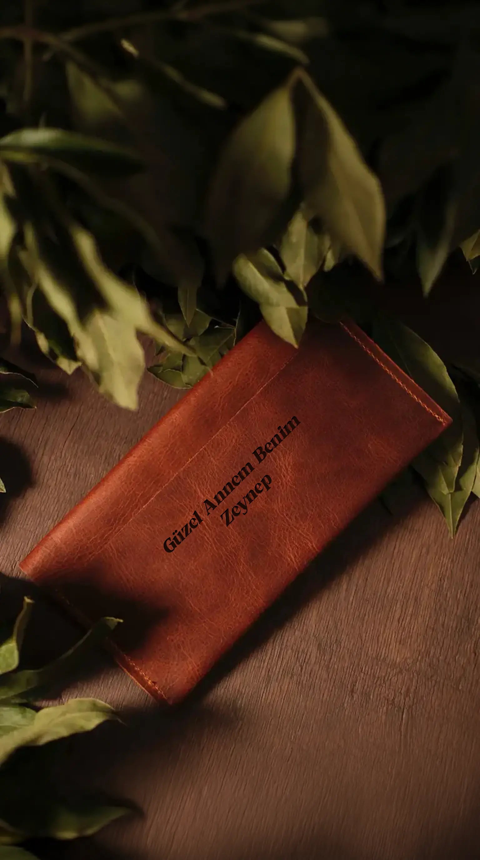 Meridyen – Zamanın Ötesinde